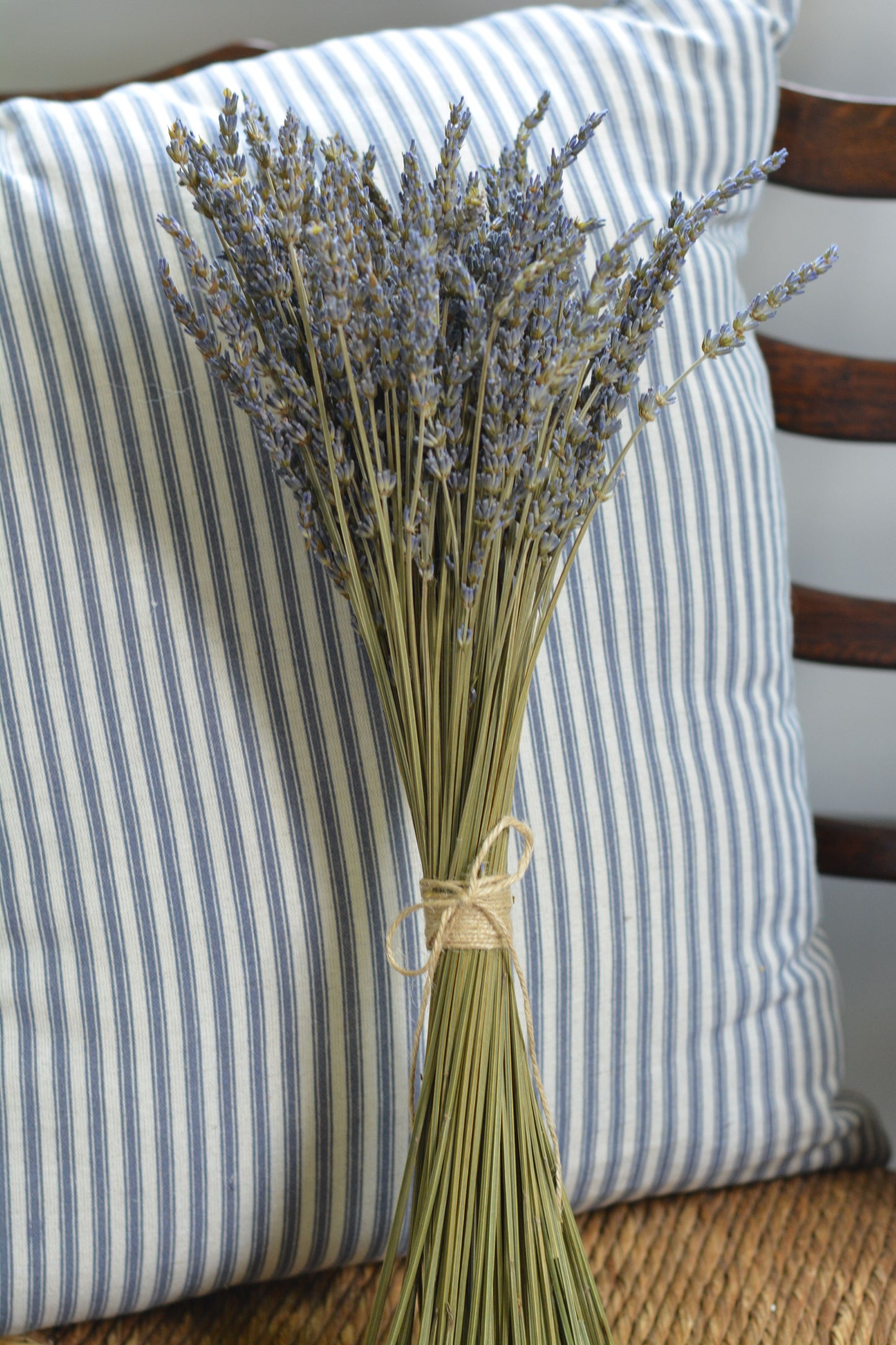 Dried French Lavender Bundle