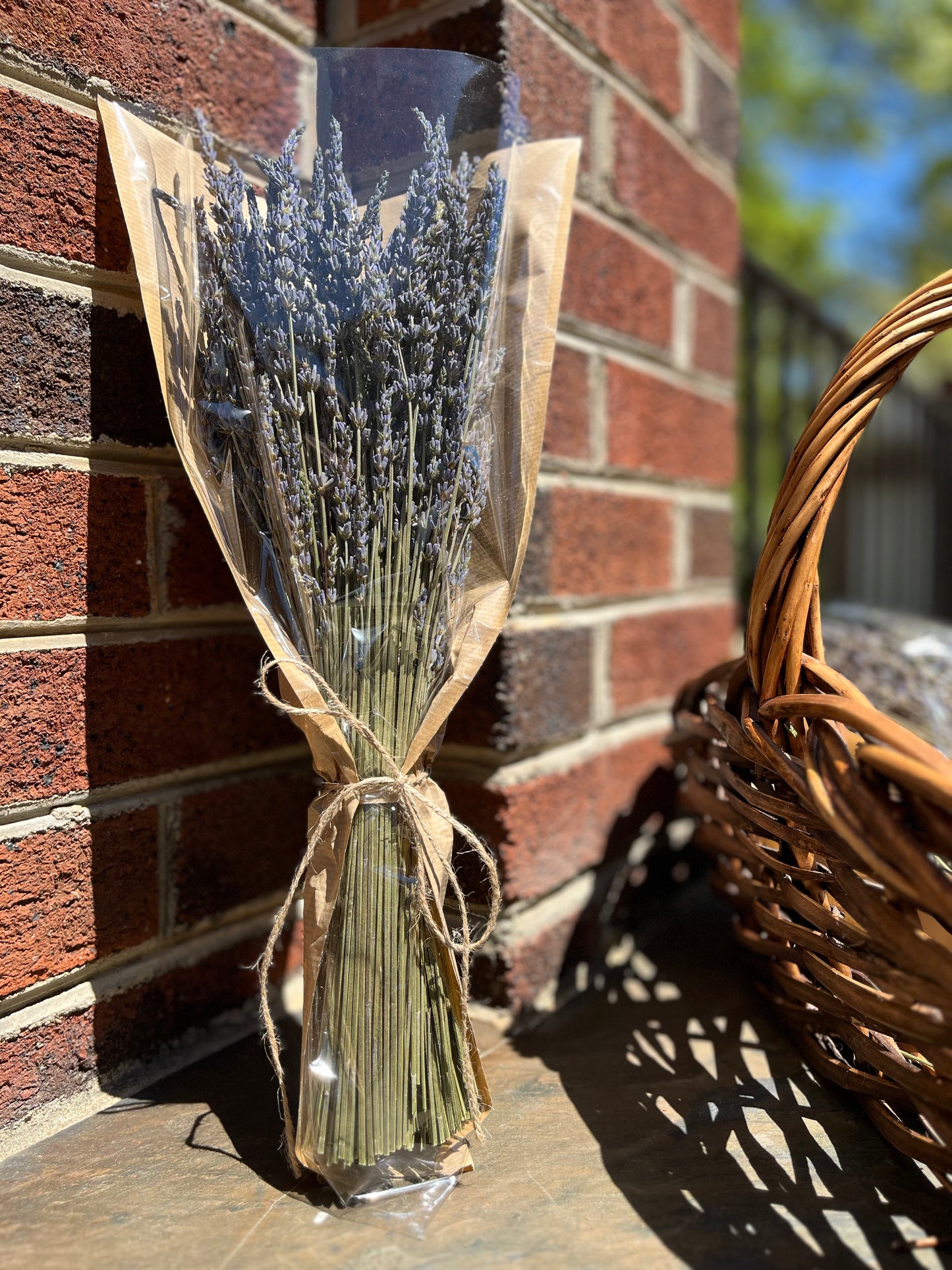 Dried French Lavender Bunches - Set of 3