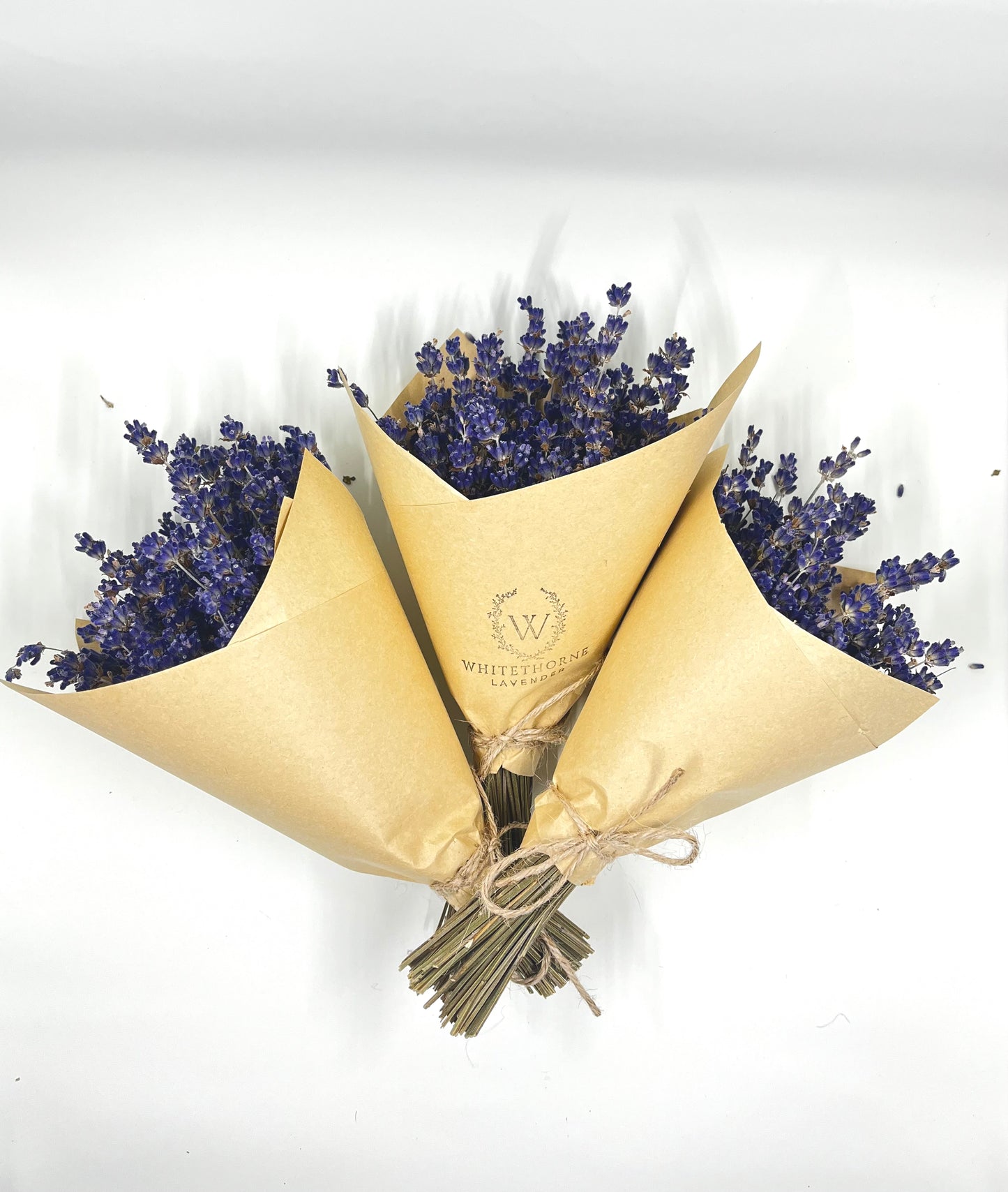 Mini English Lavender Bundles