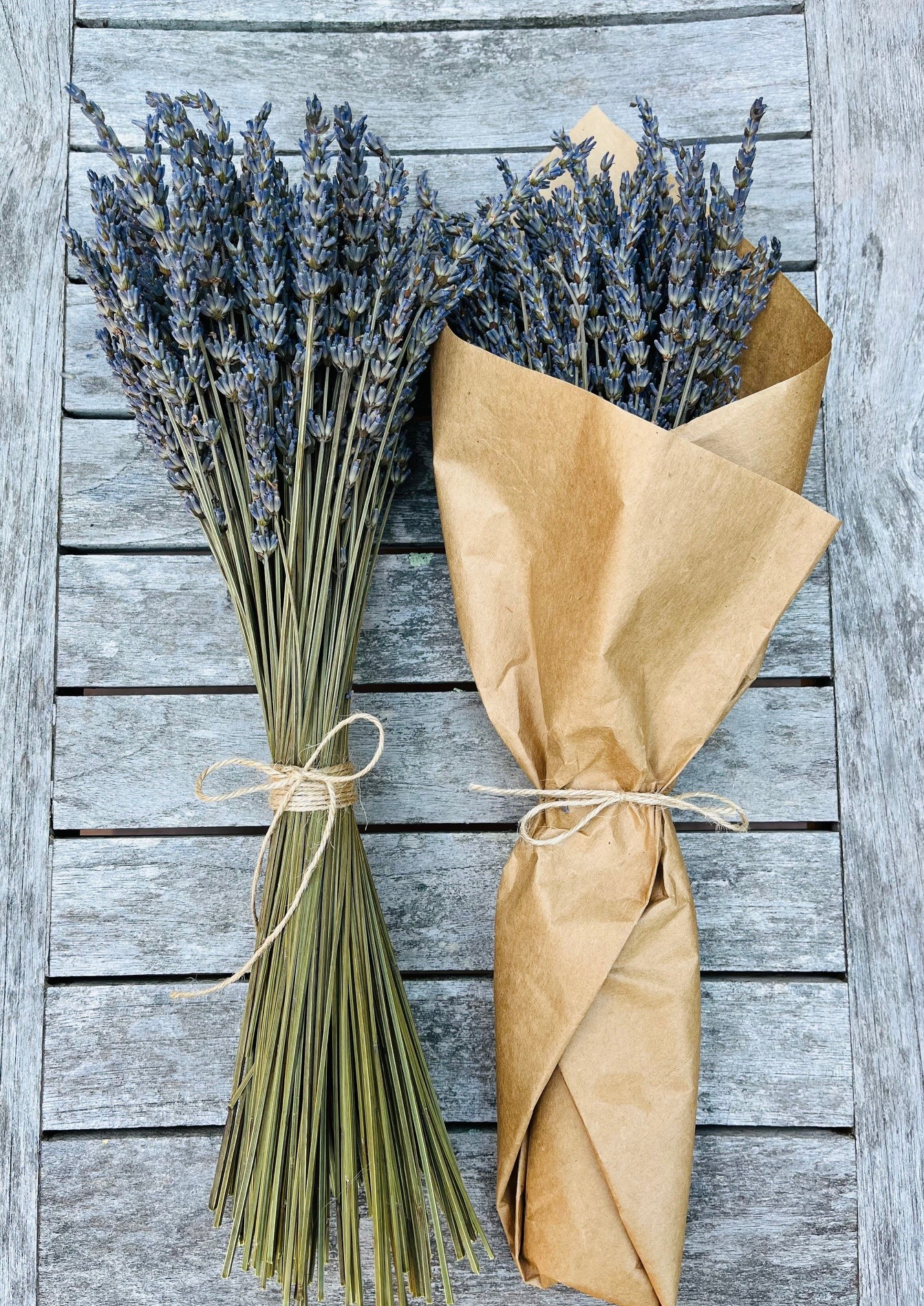 Dried French Lavender Bundles - Set of 10, 15