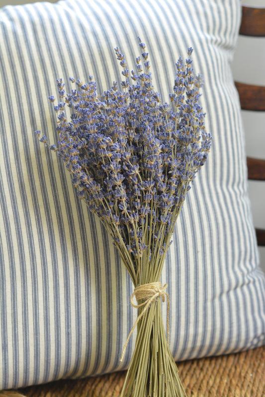 Dried Bouquet - Blue English Lavender