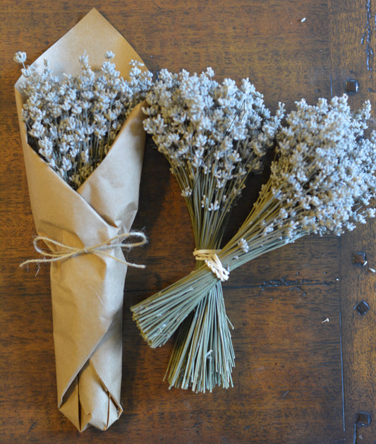 Dried Bouquet - White English Lavender