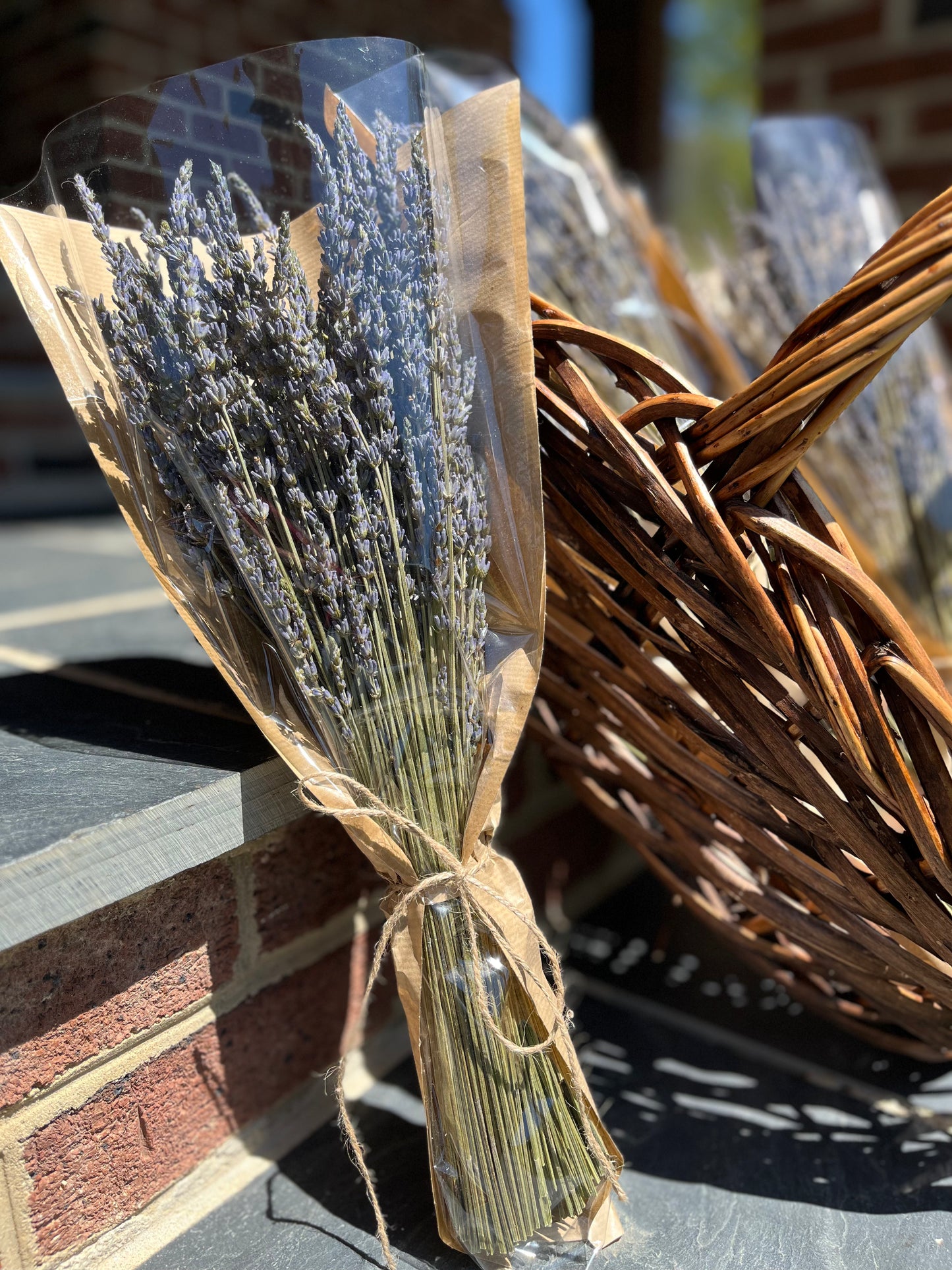 Dried French Lavender Bundles - Set of 10, 15