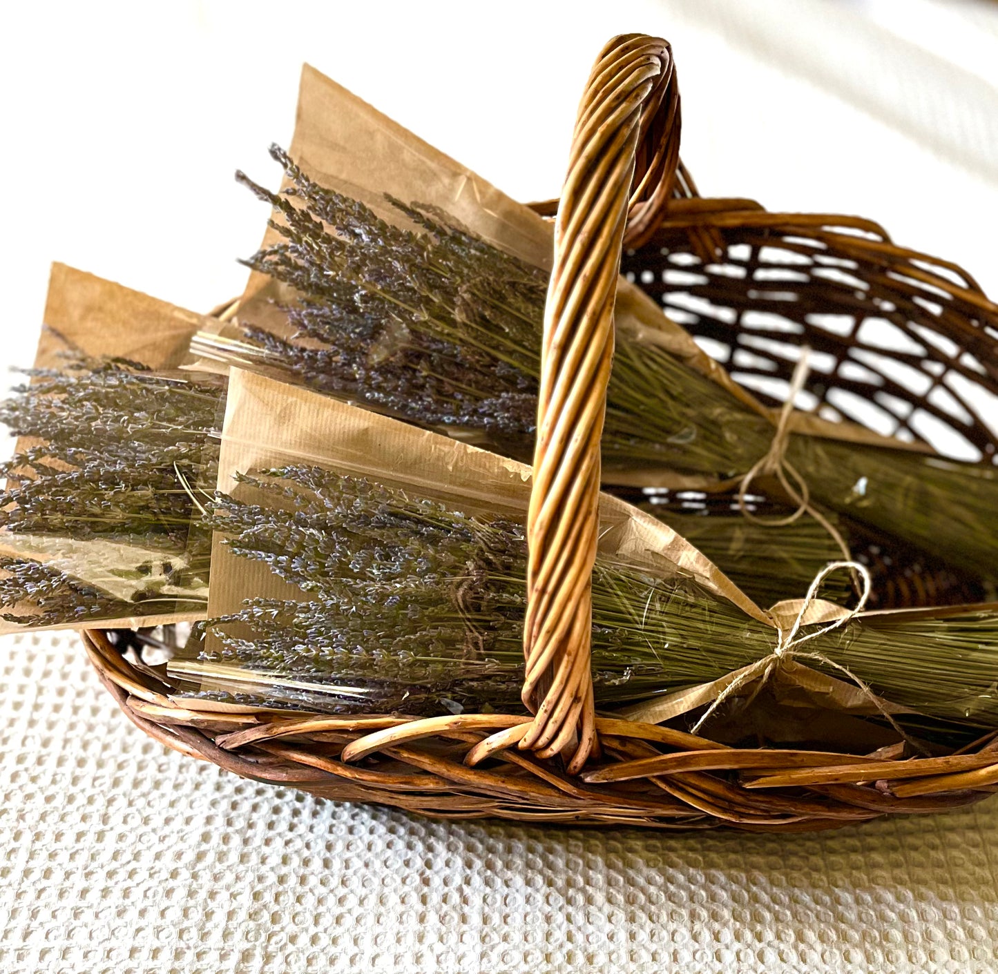 Dried French Lavender Bundles - Set of 10, 15