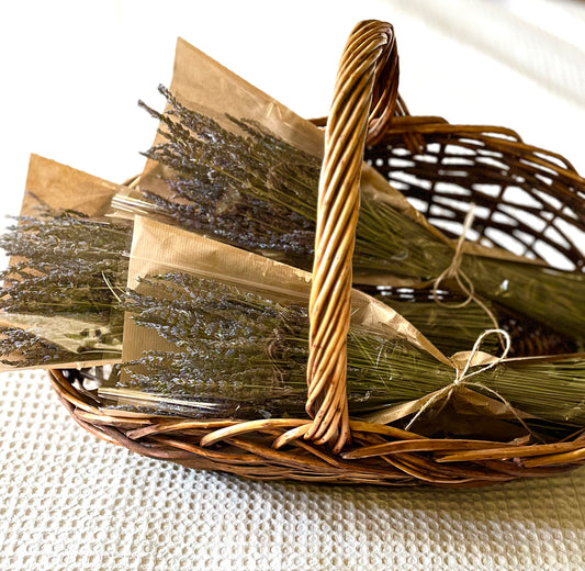 Dried French Lavender Bundles - Set of 10, 15