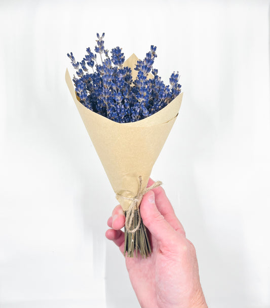 Mini English Lavender Bundles