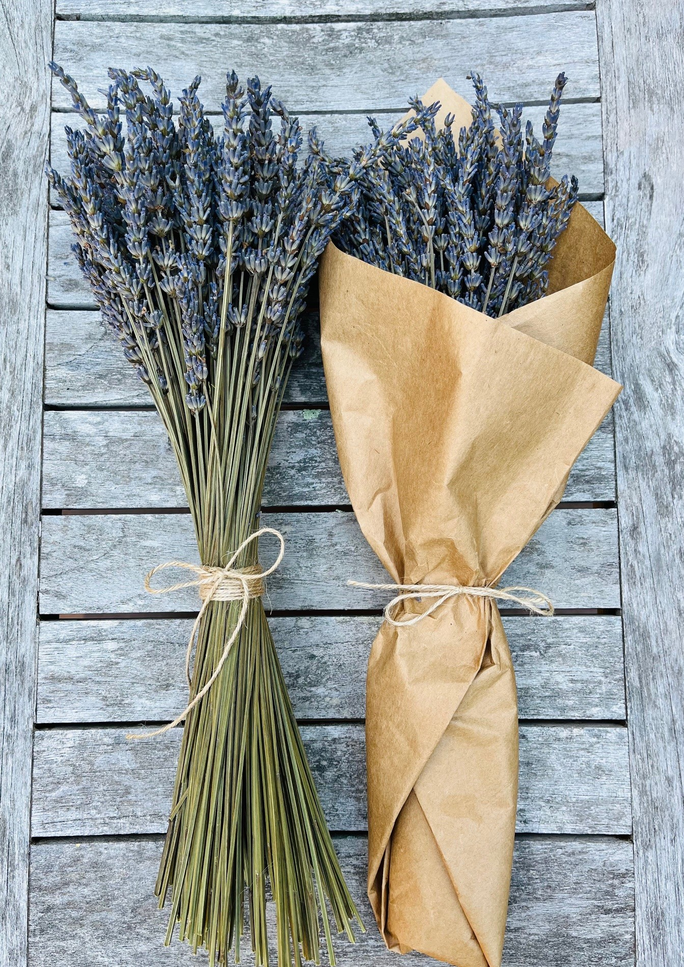 Dried Bouquet - French Lavender