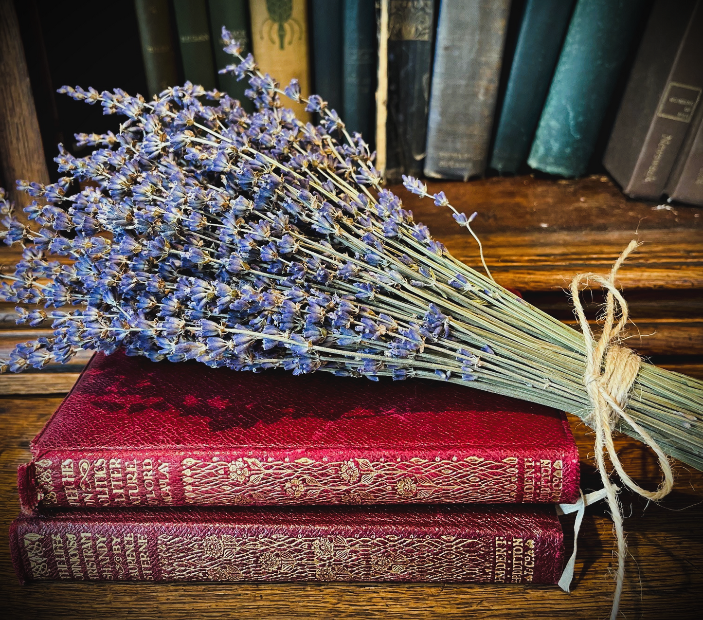 Dried Bouquet - Blue English Lavender